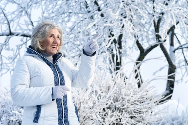 Starsza Kobieta Zimowe Ubrania Pozowanie Zewnątrz Dobrym Nastroju — Zdjęcie stockowe