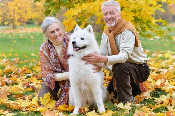 Portrait Beautiful Caucasian Senior Couple Dog Autumn Park — Stock Photo, Image