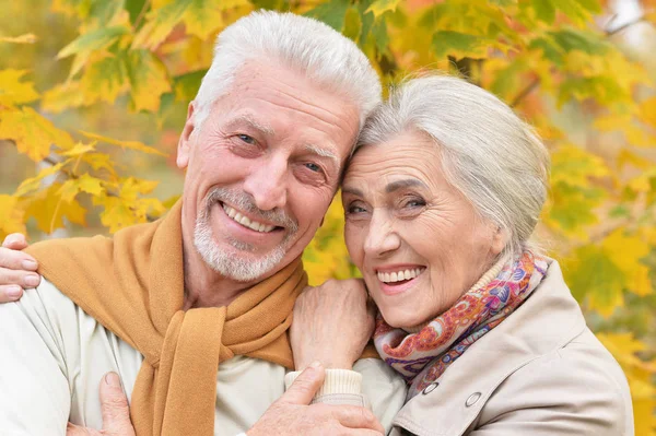 Portrait Beautiful Caucasian Senior Couple Park — Stock Photo, Image