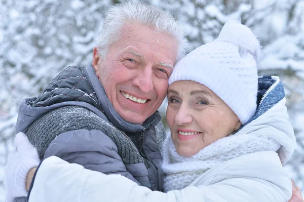 Kış Açık Havada Kıdemli Mutlu Çifte — Stok fotoğraf