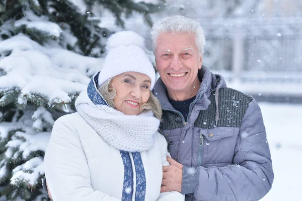 Gelukkige Senior Paar Winter Open Lucht — Stockfoto