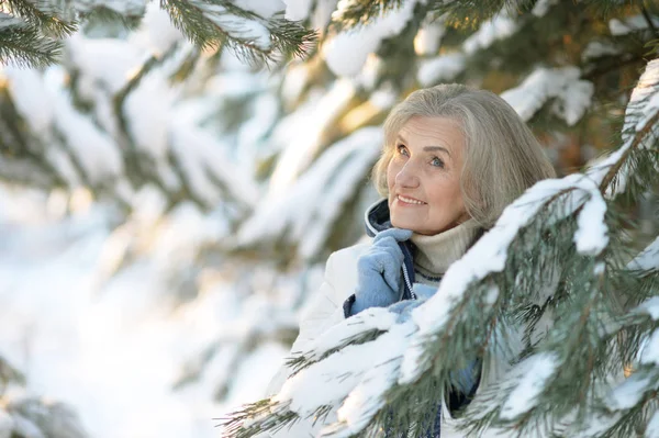 Mature Woman Winter Clothes Posing Outdoors Good Mood — Stock Photo, Image