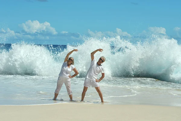 Casal sênior fazendo exercícios — Fotografia de Stock