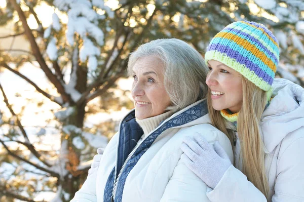 Femmes Vêtements Hiver Posant Extérieur Bonne Humeur — Photo