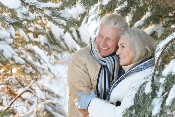 Happy senior couple at winter outdoors