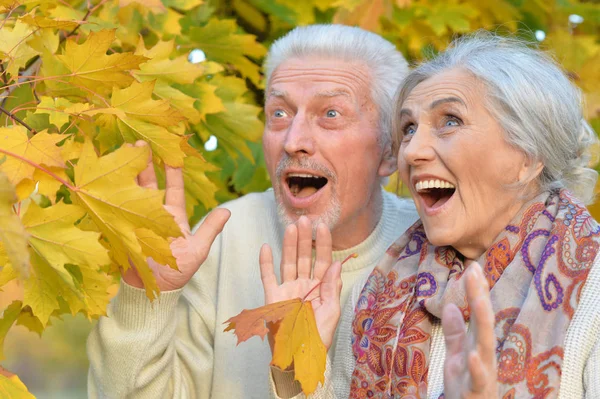Portrait Beautiful Caucasian Senior Couple Park — Stock Photo, Image