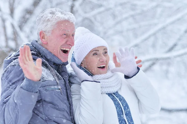 Happy senior couple posing in  winter outdoors