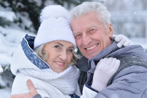 幸福的高级夫妇在冬季户外活动 — 图库照片