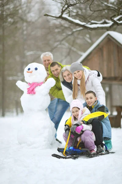 Família no parque de inverno — Fotografia de Stock