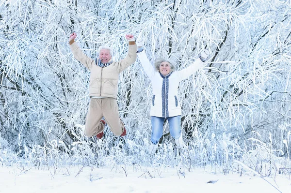 Happy senior couple jumping  at winter outdoors