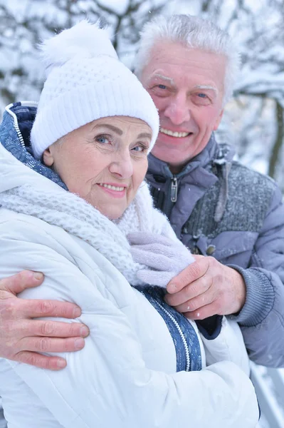 Gelukkige Senior Paar Poseren Winter Buiten — Stockfoto