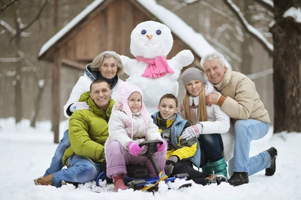 Famille dans le parc d'hiver — Photo