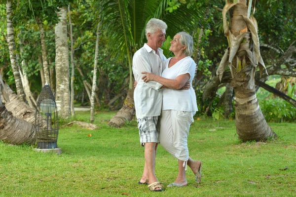 Bejaarde echtpaar uitgevoerd op strand — Stockfoto