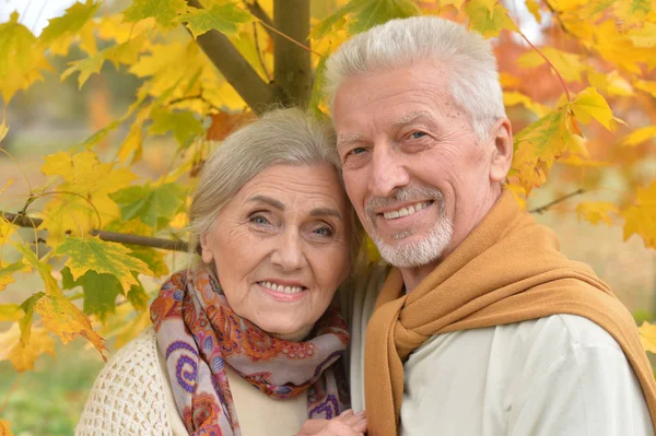 Retrato Hermosa Pareja Mayor Caucásica Parque — Foto de Stock