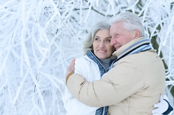 Happy Senior Couple Posing Winter Outdoors — Stock Photo, Image