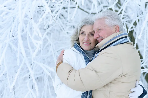 Gelukkige Senior Paar Poseren Winter Buiten — Stockfoto