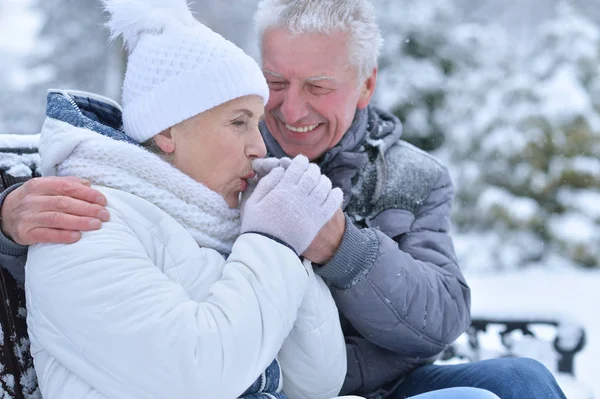 Gelukkige Senior Paar Poseren Winter Buiten — Stockfoto