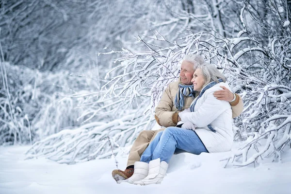 Happy Senior Couple Winter Outdoors — Stock Photo, Image