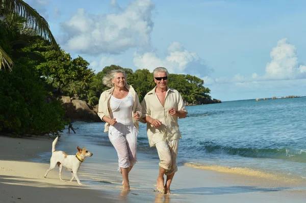 Älteres Paar läuft am Strand — Stockfoto