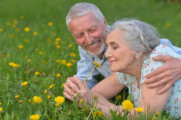 Happy Senior Couple Lying Green Meadow Dandelions — Stock Photo, Image