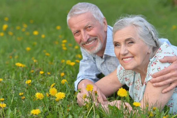 Happy Senior Couple Lying Green Meadow Dandelions — Stock Photo, Image
