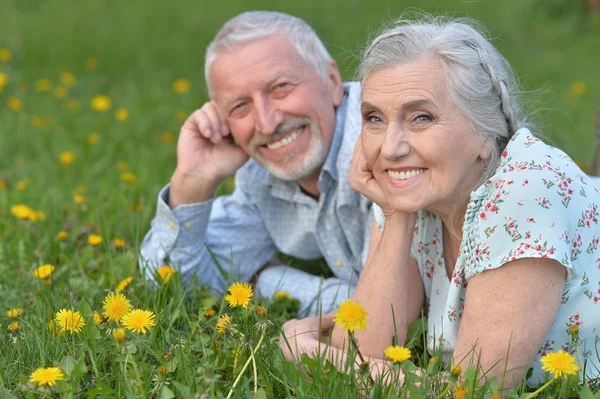 Felice Coppia Anziana Sdraiata Sul Prato Verde Con Denti Leone — Foto Stock