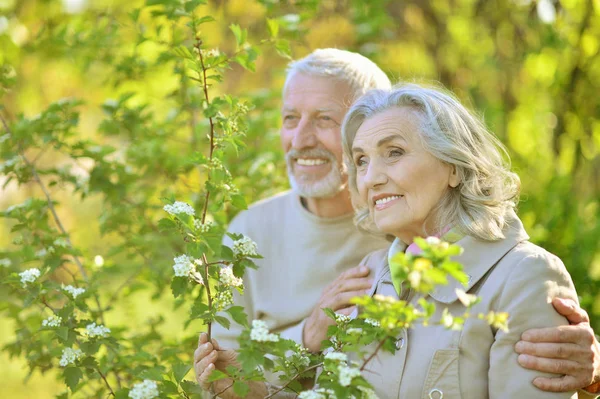 Lyckliga Senior Paret Kramas Blommor Bakgrund — Stockfoto