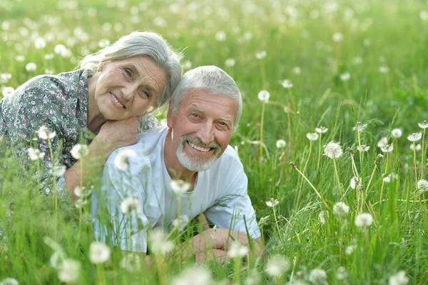 Feliz Pareja Ancianos Acostados Prado Verde Con Dientes León —  Fotos de Stock