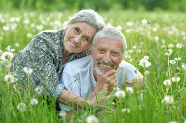 Feliz Pareja Ancianos Acostados Prado Verde Con Dientes León —  Fotos de Stock