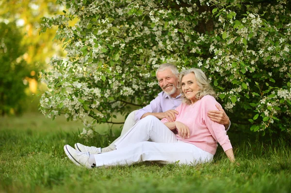 Happy Senior Couple Sitting Outdoors — Stock Photo, Image