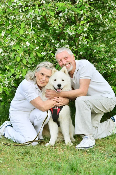 Happy Couple Hugging Dog Spring Park — Stock Photo, Image