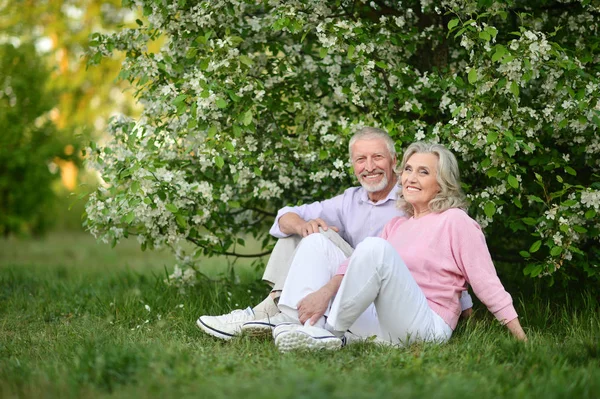 Šťastný Pár Sedí Parku Jaře — Stock fotografie