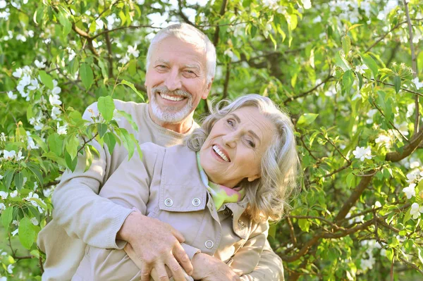 Happy Couple Posing Park Spring — Stock Photo, Image