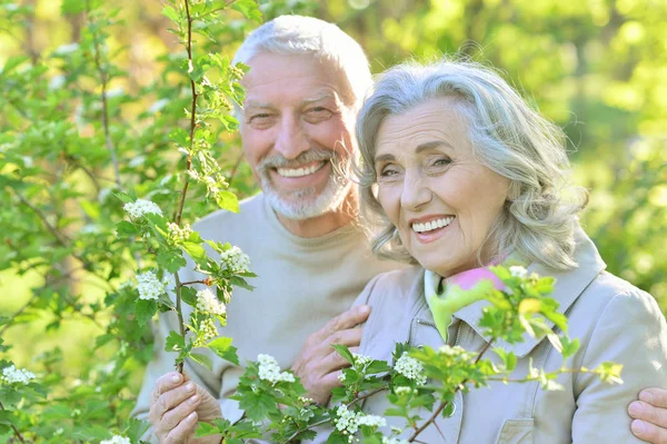 Lyckligt Par Poserar Parken Våren — Stockfoto
