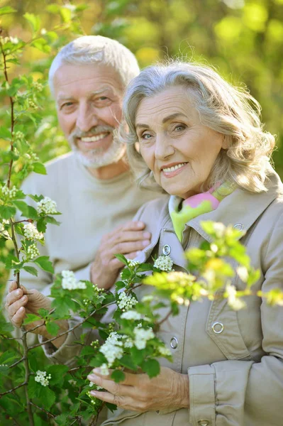 Coppia Felice Posa Nel Parco Primavera — Foto Stock