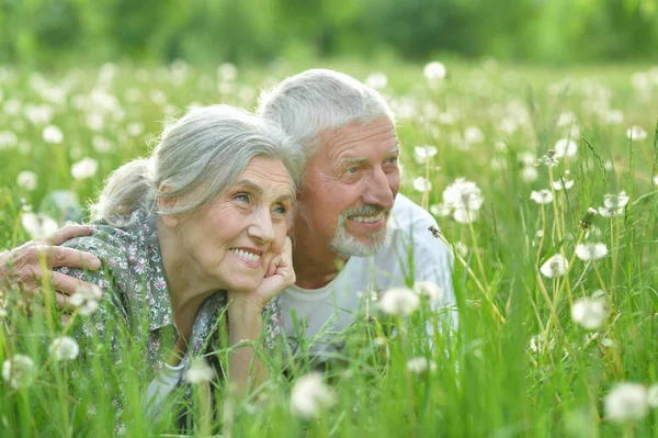 Glückliches Seniorenpaar Liegt Auf Grüner Wiese Mit Löwenzahn — Stockfoto