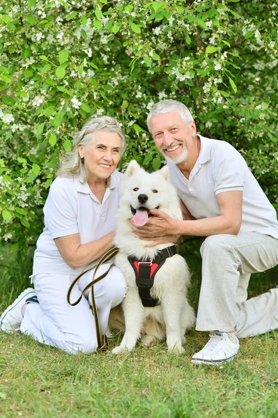 Happy Couple Hugging Dog Spring Park — Stock Photo, Image