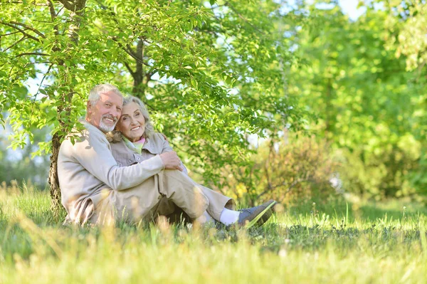 Glückliches Paar Umarmt Sich Frühlingspark — Stockfoto