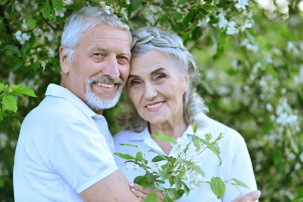 Casal Feliz Abraçando Parque Primavera — Fotografia de Stock