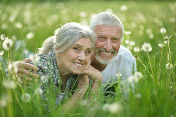 Lyckliga Senior Paret Liggande Grön Äng Med Maskrosor — Stockfoto