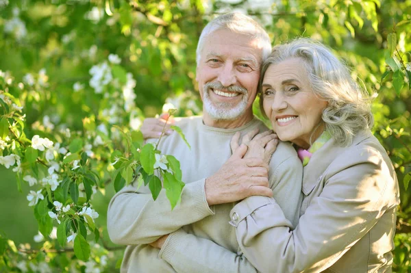 Couple Heureux Posant Dans Parc Printemps — Photo