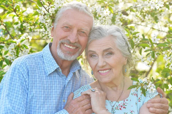 Glückliches Schönes Paar Umarmt Sich Frühlingsgarten — Stockfoto
