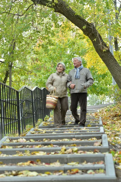 Ritratto Una Bella Coppia Anziani Caucasici Che Passeggia Nel Parco — Foto Stock