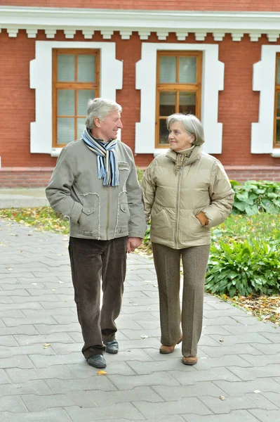 Portrait Beautiful Caucasian Senior Couple Walking City — Stock Photo, Image