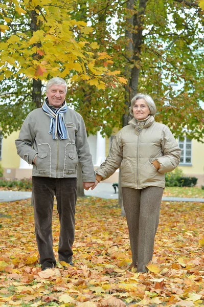 Portrait Beautiful Caucasian Senior Couple Walking Park — Stock Photo, Image