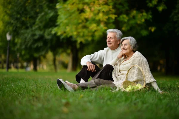 Lyckliga Paret Sitter Vår Park — Stockfoto