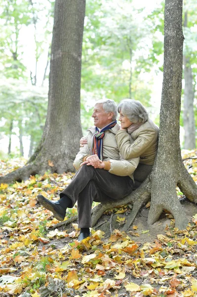 Szczęśliwa Para Starszy Siedząc Ławce Parku Jesień — Zdjęcie stockowe