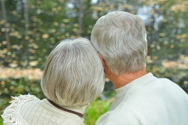 Feliz Pareja Ancianos Sentado Parque Vista Trasera —  Fotos de Stock