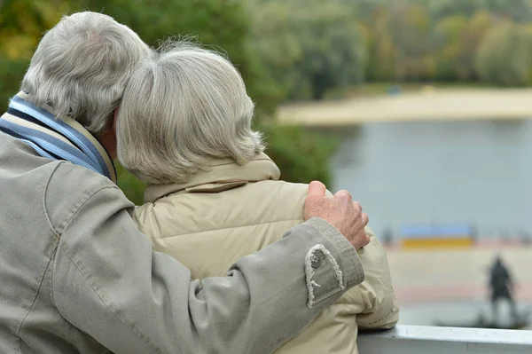 Feliz Pareja Ancianos Parque Vista Trasera —  Fotos de Stock