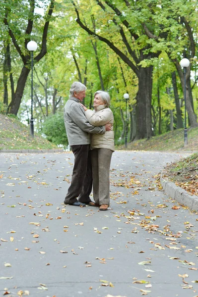 Porträt Eines Schönen Kaukasischen Senioren Paares Das Park Tanzt — Stockfoto